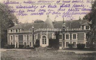 Gruchet-le-Valasse, castle (wet damage)