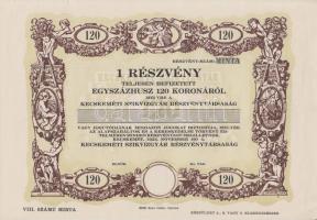 Kecskemét 1923. "Kecskeméti Szikvízgyár Részvénytársaság" 1 részvény 120K-ről "VIII. SZÁMÚ MINTA" T:II