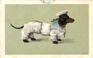 Dog as a sailor (EK)