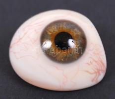 HAFA (Hatschek és Farkas), Budapest: Foto-, amatőrmozi-, optikai szaküzlet, fotó és mozi kidolgozó g...