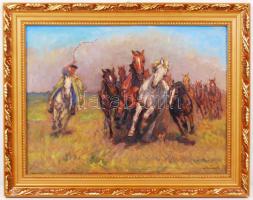 Kolozsváry Kamillo (1936-): Lóhajtás. Olaj, vászon, jelzett, keretben, 30×40 cm