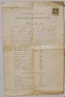 1907 Felső Kereskedelmi érettségi bizonyítvány Lippa