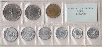 1980. 2f-10Ft 9db klf érmés forgalmi sor fóliatokban T:1