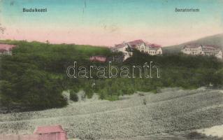 Budakeszi, Szanatórium (fl)