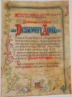 1898 Díszes oklevél Dessewffy Aurél grófnak A Békésmegyei Gazdasági Egylet tiszteletbeli taggá választásáról