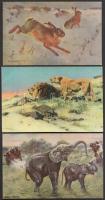 5 db régi állat motívumú lap / 5 old motive postcards, animals