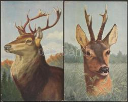 5 db régi állat motívumú lap / 5 old motive postcards, animals