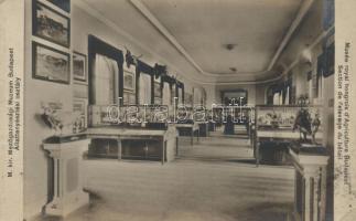 Budapest XIV. Mezőgazdasági Múzeum, állattenyésztési osztály (EK)