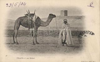 Chambba and his Mehari camel, folklore (EK)