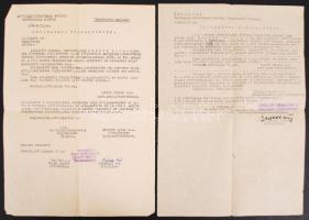 Részletek Dr. Batthyány-Strattmann László 1926-ban írt naplójából. Körmend 2002.+ Két 1950-es igazol...