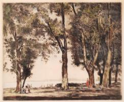 Herman Lipót (1884-1972): Balaton partján.Színezett rézkarc, papír, jelzett, üvegezett keretben, 28×...