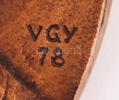 Várhelyi György (1942-): Szabó Ervin. Bronz plakett, jelzett, d:11 cm