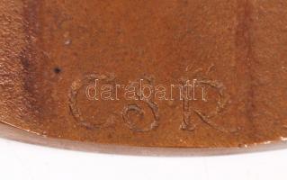 Csíkszentmihályi Róbert (1940-): XIV Nyírbátori zenei napok 1980. Bronz plakett, jelzett, d:11,5 cm