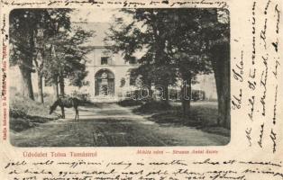 Tamási Miklós vára, Strausz Antal üzlete