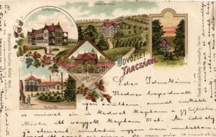 1899 Tarcsafürdő sanatorium, Villa Carolina, source, litho (small tear)