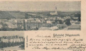 1899 Hőgyész, grófi kastély (vágott / cut)