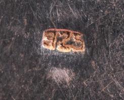 Ezüst (Ag) nyaklánc gyöngyház medállal / 
Silver necklace with nacre pendant, 42,5cm, br: 9,6gr