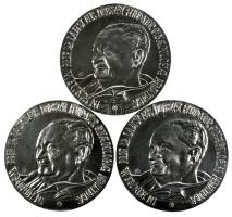 2006. "A Magyar Nőorvos Társaság Gyermeknőgyógyász Szekciója 1976 / Dr Ladislaus Dobszay" fém emlékérem (118mm) 3db gravírozott névre szóló plakett T:2