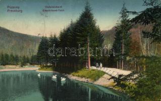 Pozsony, Vaskutacska-tó / lake