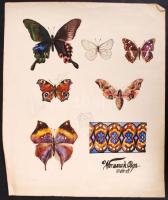 Wonaszek Olga: Lepkék és minták. Akvarell, papír, jelzett, 35×29 cm