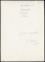 1936 Kinszki Imre (1901-1945): Cimbex v. Abia. 2,5x-ös nagyítás, vintage fotó, hátoldalán pecséttel ...