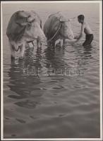 cca 1933 Kinszki Imre (1901-1945): "Weekend an der Donau". Vintage fotó, hátoldalán szerzői pecséttel jelzett, feliratozott, 17x12cm