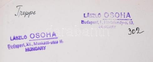 1935-1940 Osoha László: Lépcsőn. Vintage fotó, hátoldalán szerzői pecséttel jelzett, feliratozott, 2...