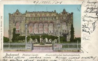 Budapest V. Vigadó, csillogó ablakok (fa)