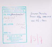 1958 Dezső Pál: Falfestő. Vintage fotó, hátoldalán pecséttel jelzett, feliratozott, 23x17cm