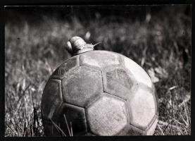cca 1970-1980 Gádor Jánosné: Ilyen a magyar foci. Vintage fotó, hátoldalán feliratozott, 16x23cm