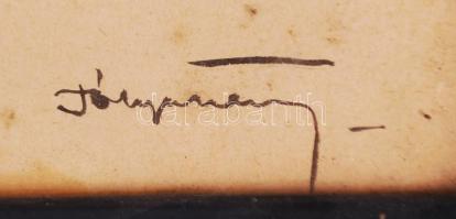 Pólya Tibor (1886-1937): Női arc. Vegyes technika, foltos papír, jelzett, keretben, 25×18 cm