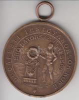 DN "Budapesti Testgyakorlók Köre - Erő, Bátorság, Ügyesség / II" Br díjérem (38mm) T:2
