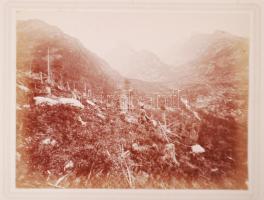 Divald Károly: A magas Tátrából - Aus der hohen Tátra: Tarpataki völgy a taréjkárón. Divald Károly eperjesi műterméből, kartonra kasírozva, 12×16 cm (1890k.)