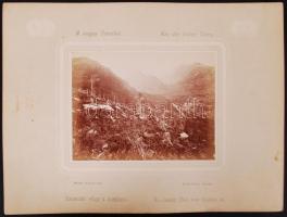 Divald Károly: A magas Tátrából - Aus der hohen Tátra: Tarpataki völgy a taréjkárón. Divald Károly e...