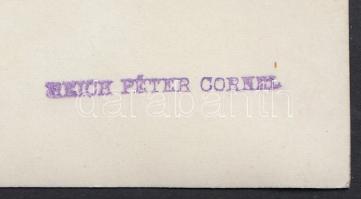 1865/ cca 1940 Reich Péter Cornel reprodukciója egy a régi budai siklót ábrázoló képi forrásról, sze...