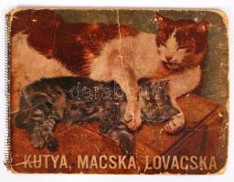 Kutya, macska, lovacska. Vadas Ernő 14 felvételével illusztrált gyerekkönyv, spirálozott, használtas állapotban (a hátsó borító hiányzik)