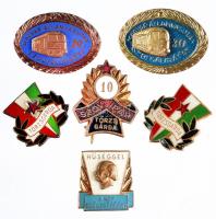 6db kfl szocialista jelvény: "Törzsgárda" jelvények (3xklf) + "Magyar Államvasutak Szolgálatáért" jelvények 10, 30 év után + "Hűséggel a nép egészségéért" T:2