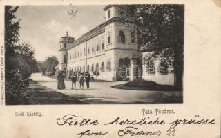 Tata-Tóváros grófi kastély (EK)