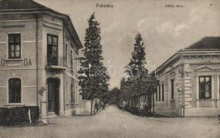 Palánka, Attila utca / street