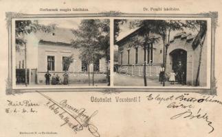 Vecsés, Herbacsek és Dr. Peschl lakóházai; floral