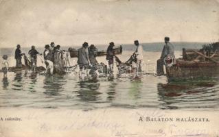 Balaton, halászat; a zsákmány (fl)