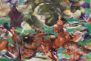 Scholz Erik (1926-1995): Növények. Tempera, fa, jelzett, keretben, 60x80 cm. Hátoldalon képcsarnok c...