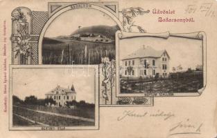 Badacsony, Bertinyi-villa, Neptun szálloda; Art Nouveau