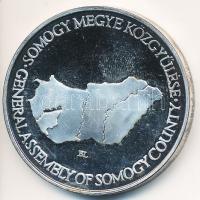 DN. "Somogy Megye Közgyűlése / Címer" ezüstözött fém emlékérem dísztokban. Szign.: BL (42mm) T:PP