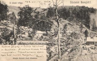 Bereg Vócsi völgy (fa)