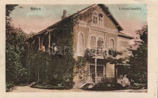 Bátyú, Lónyai-kastély / castle