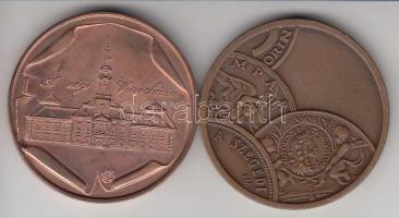 Lapis András (1942-) 1984. "100 éve épült újjá a szegedi Tanácsháza" Br emlékérem + Fritz ...