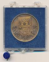 Gaál Gyula DN. "Sárospatak" Br emlékérem eredeti plombált ÁPV plasztiktokban (sérült) T:1