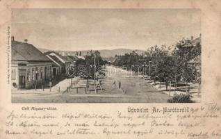 Aranyosmarót Migazzy utca / street (fl)