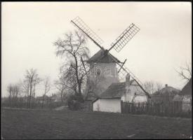cca 1950 Kiskundorozsma szélmalom sajtófotó 18x24 cm